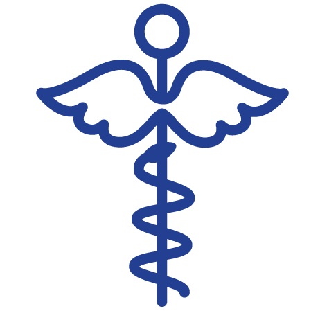 Budget at a Glance icon - Healthcare