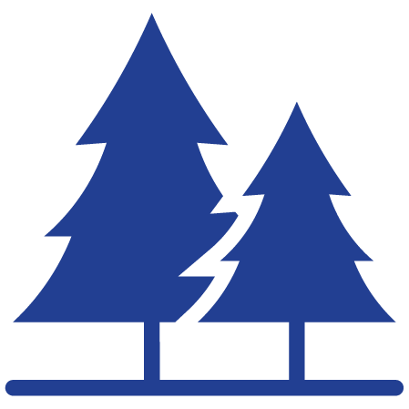 Budget at a Glance icon - Pine trees.